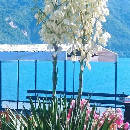 Dina Apartman Jablanicko Jezero Кониц Экстерьер фото